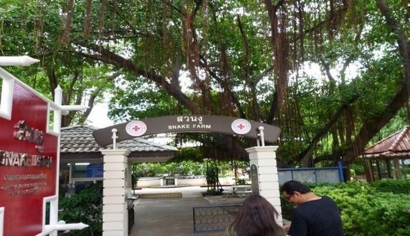 Queen Saovabha Memorial Institute